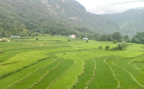 म्याग्दीको अन्न भण्डार ज्यामरुककोट
