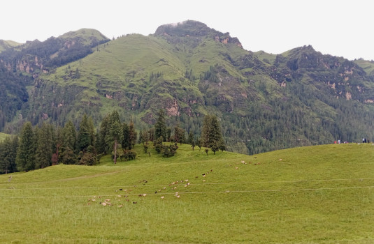 पर्यटकीय गन्तव्य बन्दै जुम्लाको धिमीचौर