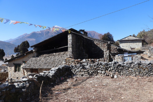 अवसरको खोजीमा सहर पस्दै ढोरपाटनका तिब्बती शरणार्थी