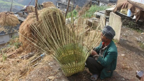 डोको बुनेरै बित्यो पाँच दशक