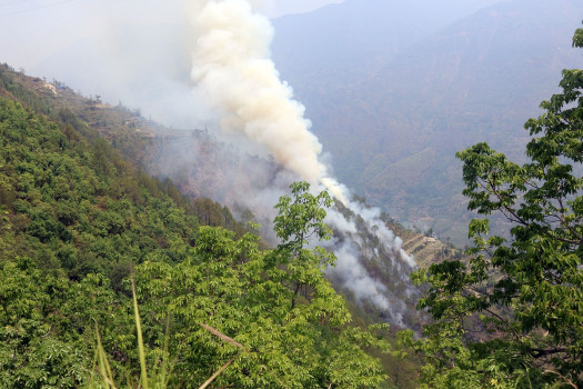 घाँस उमार्न जंगलमा आगो लगाउँदा आपत्