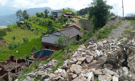 बस्ती पातलियो, घरघरमै पस्छ चितुवा