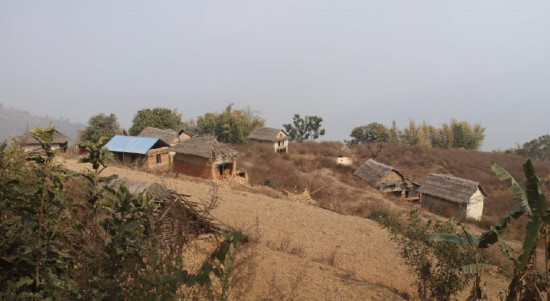 बाँदरले गर्दा बस्ती नै खण्डहर