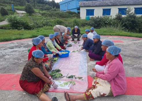 काठेखोलाका सीमान्तकृत समुदायलाई होमस्टेबाट रोजगारी