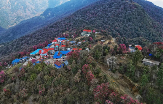 घोडेपानीमा आन्तरिक पर्यटकलाई १० प्रतिशत छुट