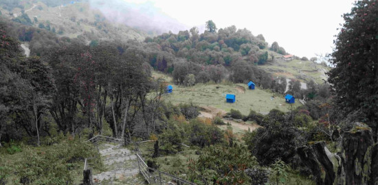 गुराँससँगै फस्टाउँदै स्थानीय घरबास