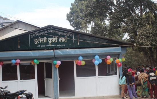 हलेसीमा चिस्यान केन्द्रसहितको कृषि बजार