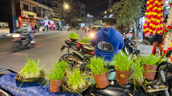 दसैंमा चम्किएको जमराको व्यापार