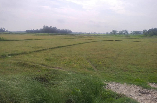फितलो विपद् पूर्वतयारीले निम्त्याउन सक्ने संकट