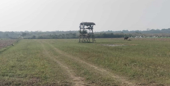 पर्सामा ४६८ हेक्टर वन अतिक्रमणमा : जनशक्ति नहुँदा अनुगमन गर्न समस्या