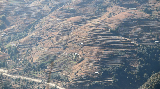 कर्णालीमा जग्गा बाँझो राख्नेलाई जरिवाना