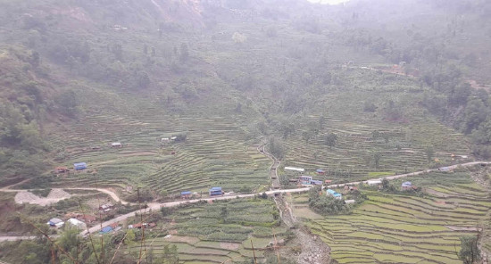 गुठीको जग्गा व्यक्तिको नाममा दर्ता
