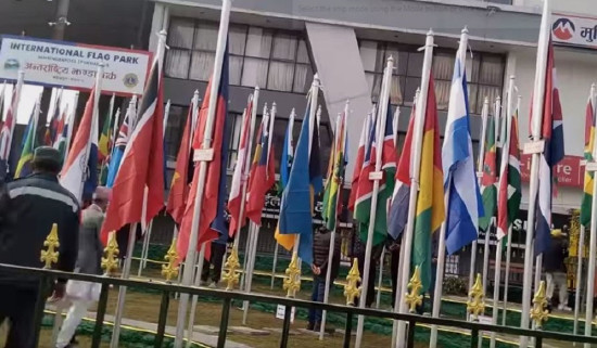 महेन्द्र पुलमा ७० लाखको अन्तर्राष्ट्रिय झण्डा पार्क