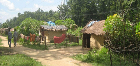 कमैया मुक्तिका २३ वर्ष, पुनःस्थापना अझै अपूरो