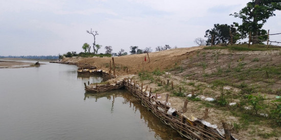 कन्द्रा नदी नियन्त्रणमा जैविक तटबन्ध प्रभावकारी बन्दै
