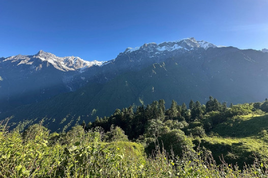 कपुचे-कोरी पदमार्गको स्तरोन्नति गरिँदै