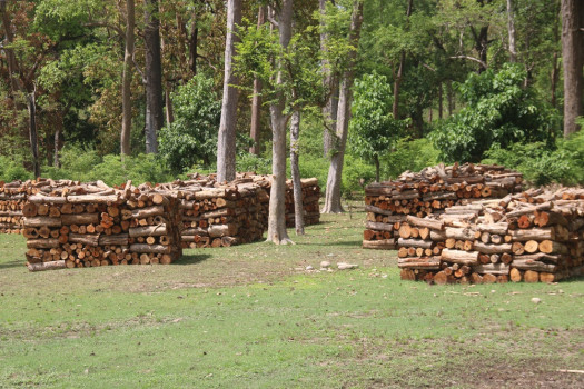 सर्लाहीमा काठ चोरीनिकासी गर्ने आठ जनाविरुद्ध मुद्दा दर्ता