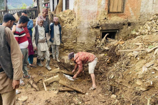 बाढीपहिरामा २३३ जनाको मृत्यु