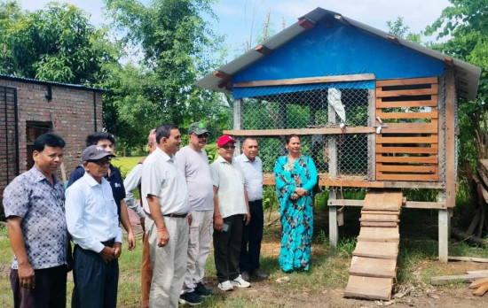 शुक्लाफाँटामा बाख्रापालनका लागि साझेदारीमा व्यवस्थित खोर निर्माण