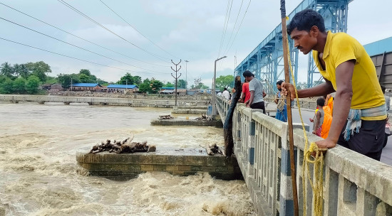 सप्तकोशीको भेलमा रोजीरोटी खोजी