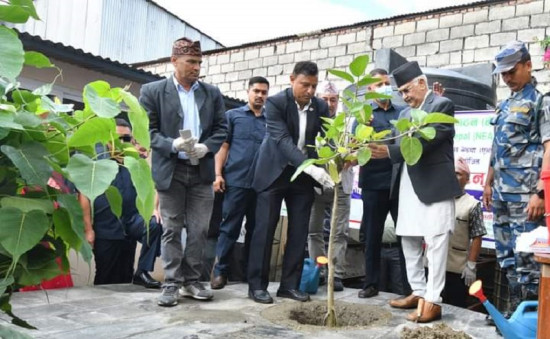 मदन जयन्तीको अवसरमा एमाले कार्यालयमा वृक्षारोपण