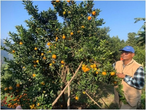 कृषि कर्मबाटै चिनिएका गुप्तप्रसाद
