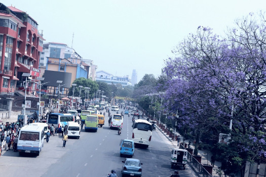 सुन्धारा सडक किनारामा फुलेको जाकाराण्डा फूल