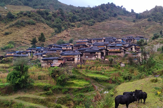 योजनाविहीन सडकले मासिए सम्पदा