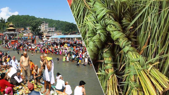 'कुश ल्याउने पुरोहितसमेत गाउँमा छैनन्'