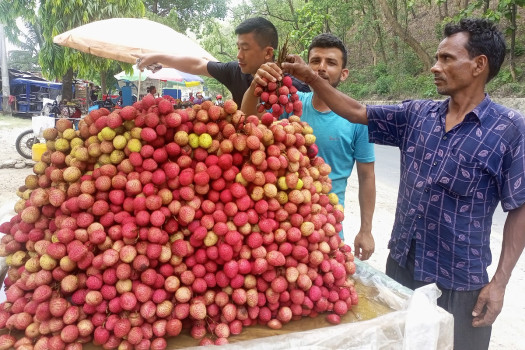 फूलबारीको सडक छेउमा ब्रिकीका लागि राखिएको लिची