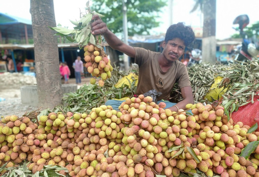 इनरुवा चोकमा लिच्ची बेच्न बसेका व्यापारी
