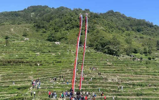 म्याग्दीको रघुगंगामा लिंगो जुधाई प्रतियोगिता