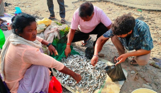 महाकालीको माछाले धानेको जीविका