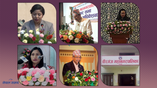 कुन महानगरले कस्तो ल्याए बजेट ? [पूर्णपाठसहित]