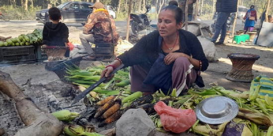 राजमार्ग छेउमा मकै पोलेर जिविका