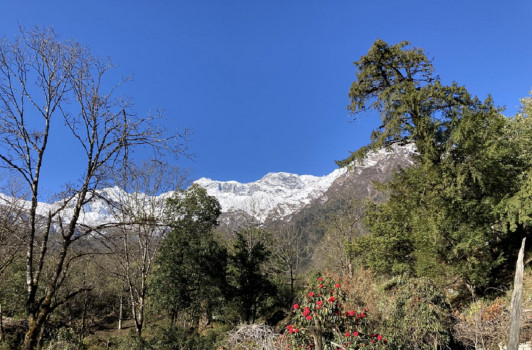 शरदऋतुमा हिमाल चढ्न २० देशका पाँच दर्जन बढीले लिए अनुमति
