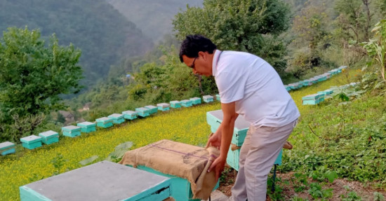 मौरी पालेर वार्षिक ८ लाख कमाउँछन् माधव