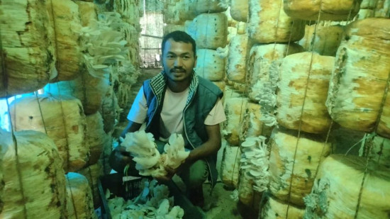 हाइटेक टनेलमा च्याउखेती गरी मनग्य आम्दानी गर्दै वीरहादुर, वर्षमा १० लाख नाफा