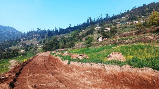 खेती र पशुपालनमा उर्वर मुठाचौरलाई सडकले जोडेपछि...