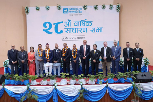 एनएमबि बैंकको अध्यक्षमा मनोज गोयल चयन