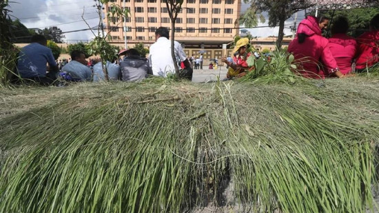 शिक्षकले काठमाडौंको बिरुवा मासेपछि बालेनले सम्झिए देवकोटाको कविता 