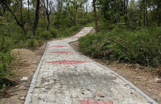 चिडिया तालसम्म पदमार्ग निर्माण