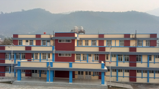 पाल्पामा नसर्ने रोगका बिरामीको संख्या बढ्दो