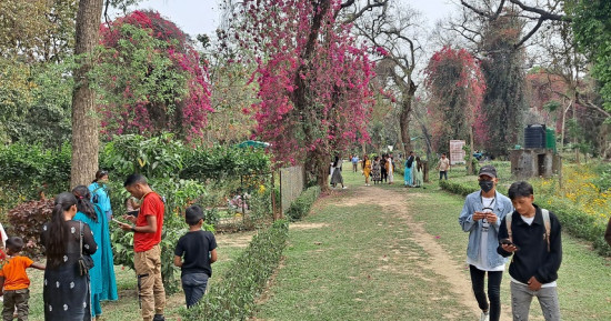 बाँकेमा रहेको ढकेरी वनस्पति उद्यान