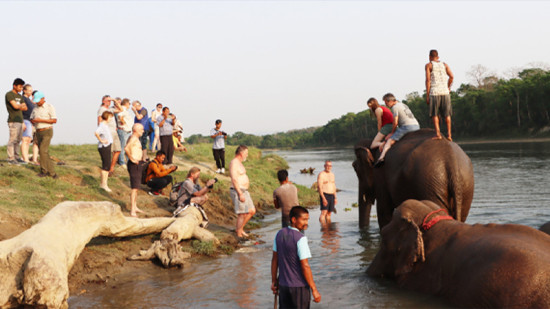 चितवन निकुञ्जमा हुने पर्यटकीय गतिविधिमा रोक
