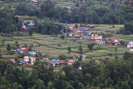 घरले भरिँदै फलेबास बजार