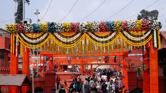 महाशिवरात्रीका लागि सिंगारिदै पशुपतिनाथ 