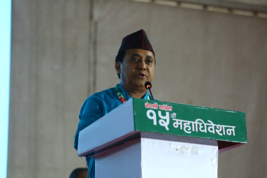 उपसभापति विश्वप्रकाश शर्माले पेश गरेको समसामयिक विषयक प्रतिवेदन पारित [भिडियो]