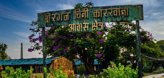 वीरगञ्ज चिनी कारखाना पुनः सञ्चालनको सम्भाव्यता अध्ययन गर्न कार्यदल गठन
