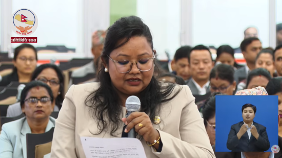 देश फेसबुकको पहुँचले होइन, संविधान र राज्यको संस्थाले चलाउनुपर्छ : नीता घतानी